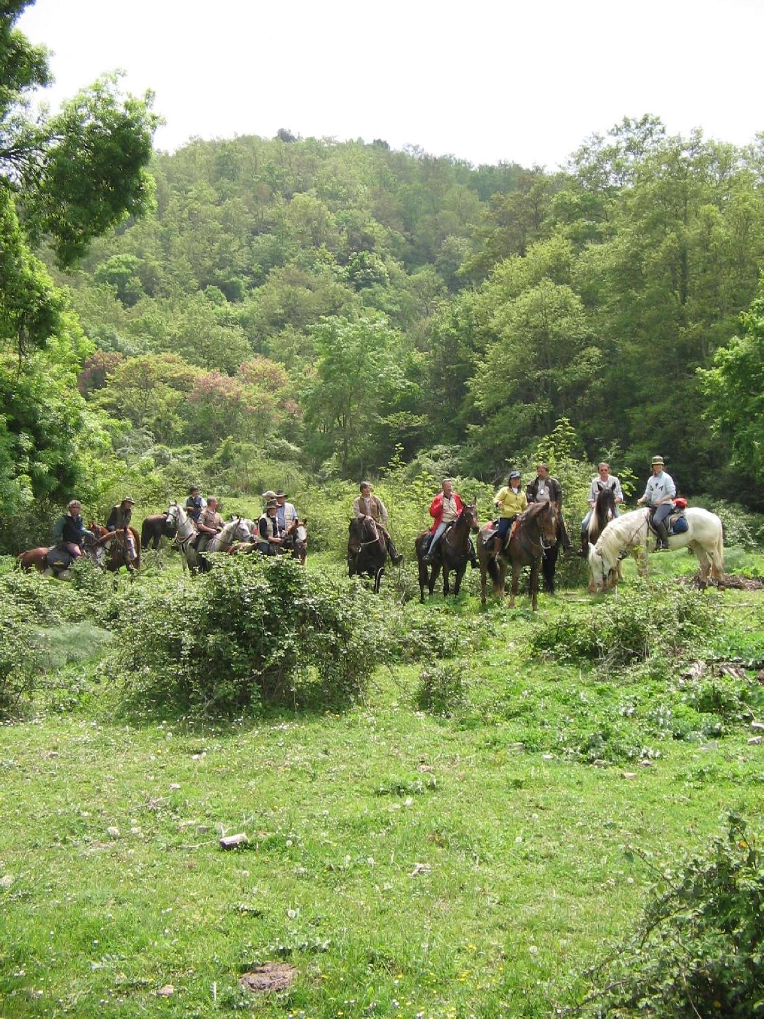 Agriturismo Casale Bonaparte Cellere Eksteriør bilde