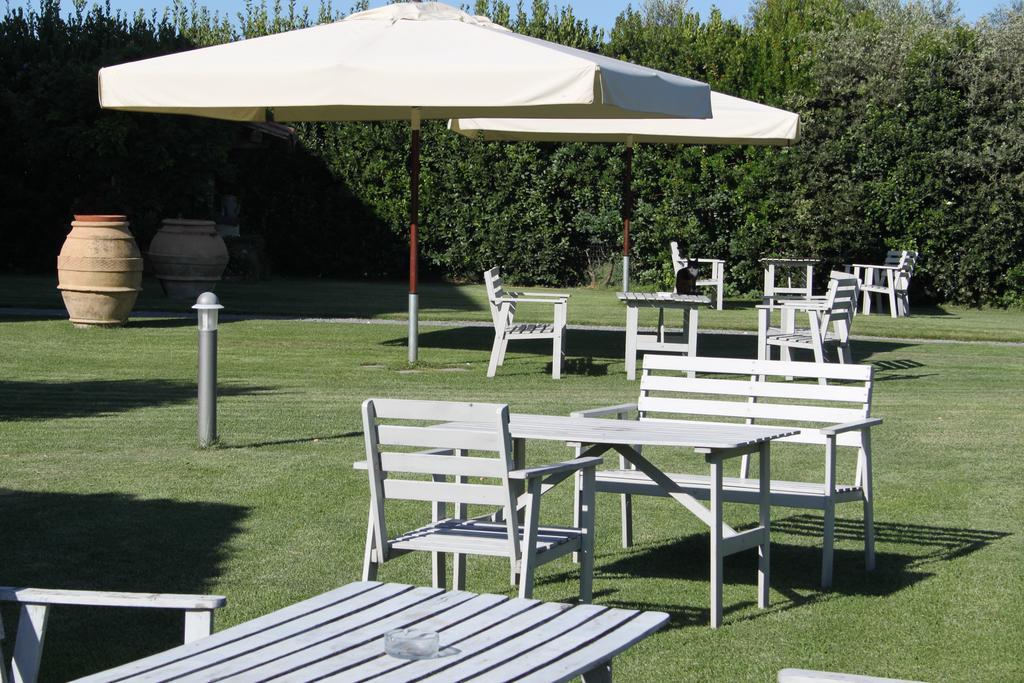 Agriturismo Casale Bonaparte Cellere Eksteriør bilde