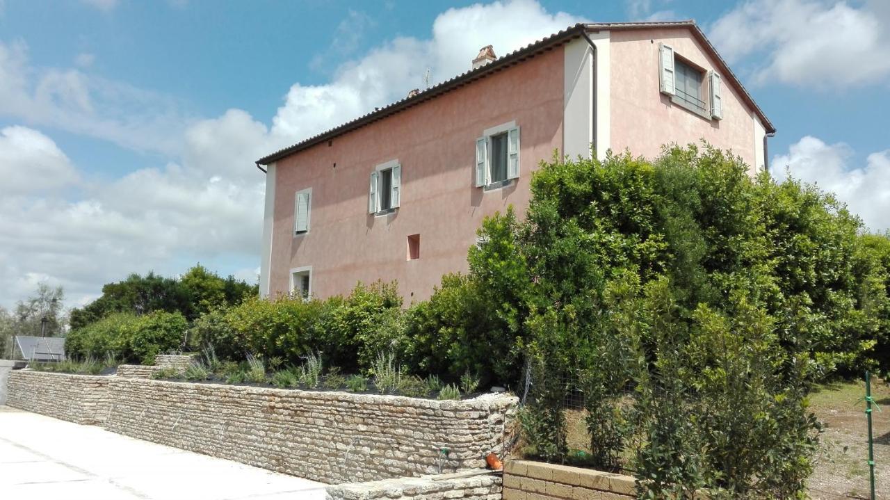 Agriturismo Casale Bonaparte Cellere Eksteriør bilde