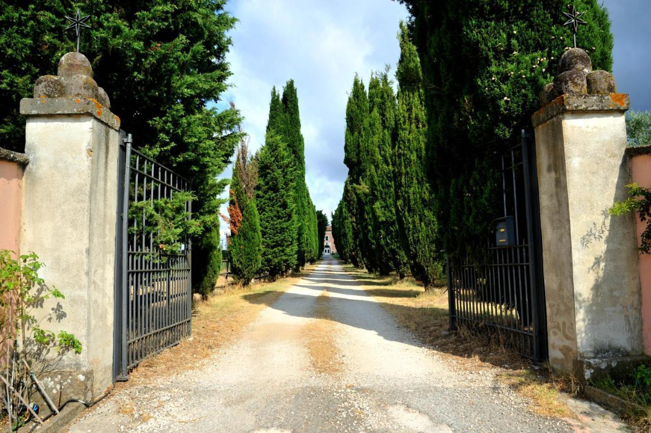 Agriturismo Casale Bonaparte Cellere Eksteriør bilde